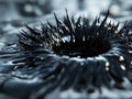 Black liquid splash forms, ferrofluid, black splash spikes, magnetic field, science experiment