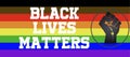 Black Lives Matter Poster Pride Colors