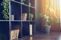 Black Living room interior decoration rack with house plants, Shelves with plants, books, candles Royalty Free Stock Photo