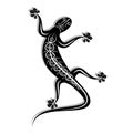 Black lizard Royalty Free Stock Photo