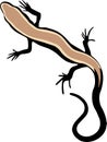 a black lizard with a brown back and black tail on a white background. vector drawing, tattoo sketch. Royalty Free Stock Photo