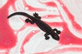 a black lizard on a white and pink background