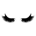 Black long lashes vector illustration. Beautiful Eyelashes isolated on a background. Royalty Free Stock Photo