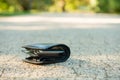Black lost wallet lying on ground outdoors, closeup. Space for text Royalty Free Stock Photo