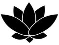 Black lotus flower