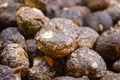 Black maca, a health medicine is sold in the New Year market.