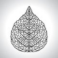 Black macro leaf natural isolated. Vector