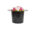 Black magic hat with flowers isolated on a white background Royalty Free Stock Photo