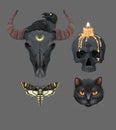 Black magic vector set of prints with skulls