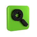 Black Magnifying glass with leaf icon isolated on transparent background. Scientific biology, study nature leaf. Green