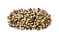Black maize kernels Royalty Free Stock Photo