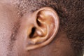 Ear Royalty Free Stock Photo