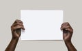 Black male hands hold a blank sheet of white paper on an isolated gray background. The concept of protest, slogan, and Royalty Free Stock Photo