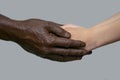 Black male hands hold white female human hands in their palms. The concept of inter-racial friendship, love, respect, and the