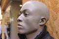 Black Male Mannequin Head Royalty Free Stock Photo