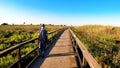 Black man wearing facial mask walking through boardwalk walkway of wood amidst vegetation. Wooden path surrounded by sugar cane or