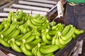 Black man worker preparing to pack bananas in a factory