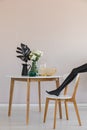 Black mannequin`s leg on chair in trendsetting dining room interior with copy space on empty pastel pink wall Royalty Free Stock Photo