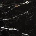 Black Marble