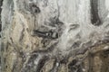Black marble abstract background pattern with high resolution. Vintage or grunge background of natural stone old wall texture. Royalty Free Stock Photo