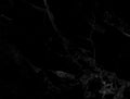 Black marble background, natural pattern. Royalty Free Stock Photo