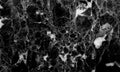 Black marble texture background.