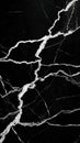 Black Marble Texture with White Veins Abstract Background for Luxury Interior Design Packaging and Digital Projects Royalty Free Stock Photo