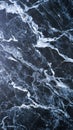 Black marble texture with white veins high resolution background for luxury interior design print material and digital projects Royalty Free Stock Photo