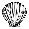 Black marine seashell, oyster or mollusk for design of invitation, fabric, textile, etc