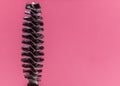 Black mascara brushes, isolated on pink. Royalty Free Stock Photo