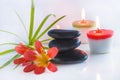 Beautiful spa compostion with black massage stones Royalty Free Stock Photo