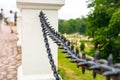 Black massive chain with spikes on a green wood background