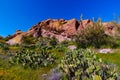 Black Mesa Trail Superstition Mountain Wilderness Arizona