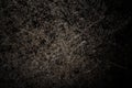 Black metal background. The surface of the pan to the oven. Fantasy art processing of photos for a collage. Toned Royalty Free Stock Photo