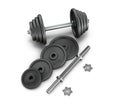 Black metal barbells and dumbbells