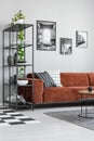 Metal bookshelf in grey Scandinavian living room interior with brown velvet sofa Royalty Free Stock Photo