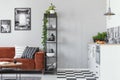 Metal bookshelf in grey Scandinavian living room interior with brown velvet sofa Royalty Free Stock Photo