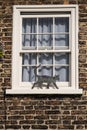 Black metal cat on window sill Royalty Free Stock Photo