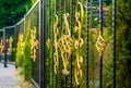 black metal fence with gilded iron elements