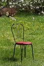 A black metal garden chair in garden