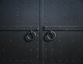 Black Metal Gate door texture background
