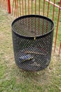 Black metal mesh litter bin