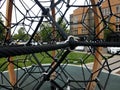 Black metal rope climbing structure at playground