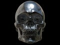 Black metal skull - front view