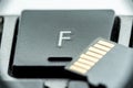 Black micro sd card with gold contacts on the key with the letter F