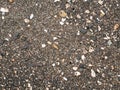 Black micro stones and sea shells sand beach as a background