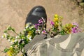 Black military boots with flowers. Concept - flowers instead of bullets and war. Ending the war in Ukraine. The surrender of the Royalty Free Stock Photo