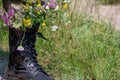 Black military boots with flowers. Concept - flowers instead of bullets and war. Ending the war in Ukraine. The surrender of the Royalty Free Stock Photo