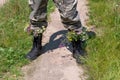 Black military boots with flowers. Concept - flowers instead of bullets and war. Ending the war in Ukraine. The surrender of the Royalty Free Stock Photo