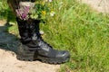 Black military boots with flowers. Concept - flowers instead of bullets and war. Ending the war in Ukraine. The surrender of the Royalty Free Stock Photo